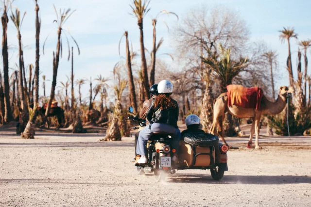 Visite en sidecar vintage – Aventure à Marrakech